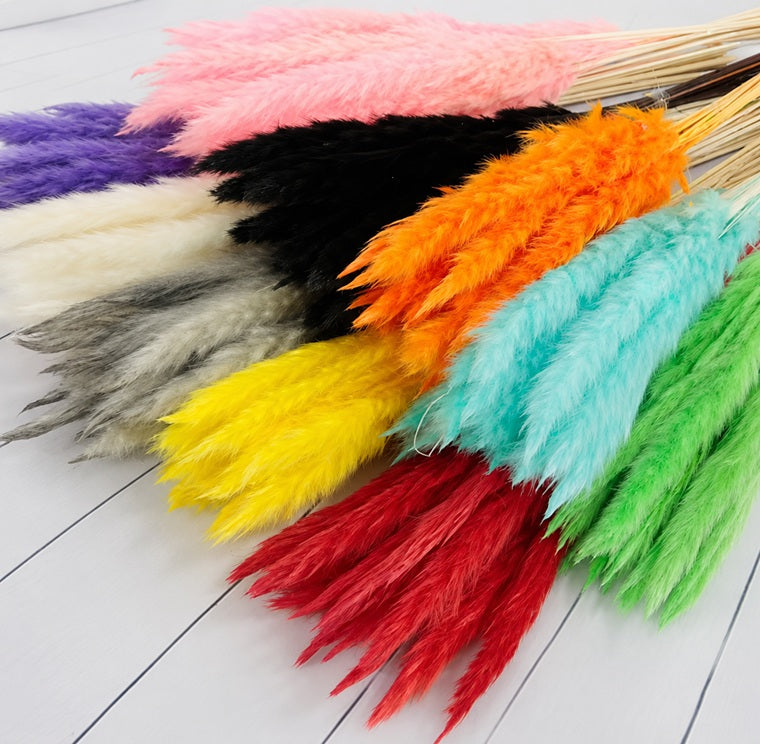 (Mini) 15stalks Naturally Dried Pampas Grass 70cm Home Decoration Flower Arrangement Reed Bouquet Birthday Gift