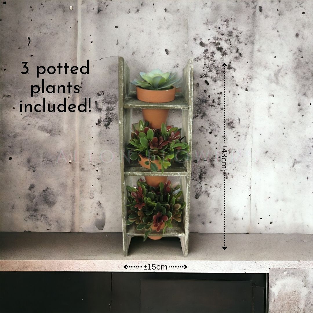 43cm 3 x Artificial Succulents in Wooden Rack Home Decor Garden Events Aplant076