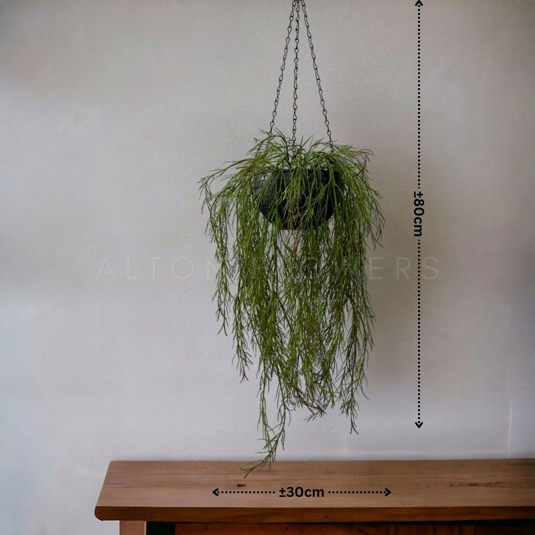 Artificial Air Plant set in double layer hanging pot, home decor, garden, events Aplant1000