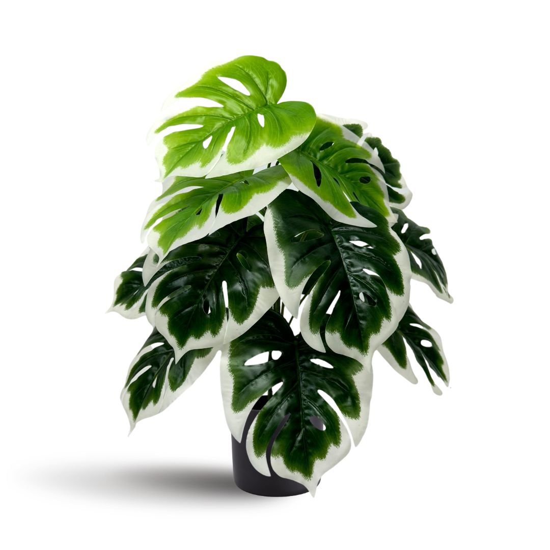 45cm Artificial Plant White Edge Monstera with black plastic cemented pot, home decor, garden, events Aplant1001a