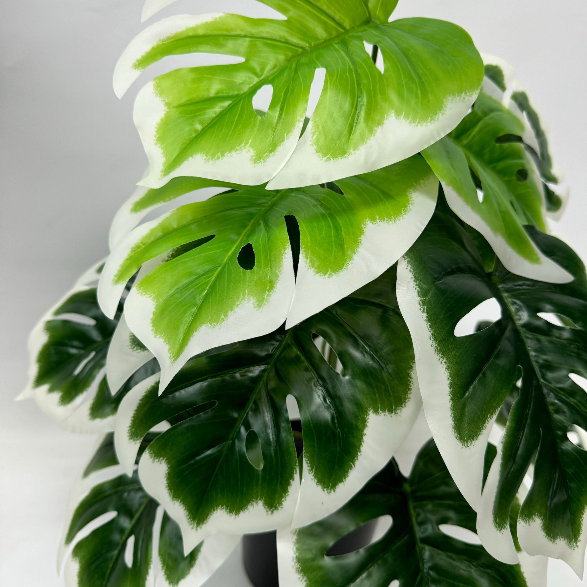 45cm Artificial Plant White Edge Monstera with black plastic cemented pot, home decor, garden, events Aplant1001a