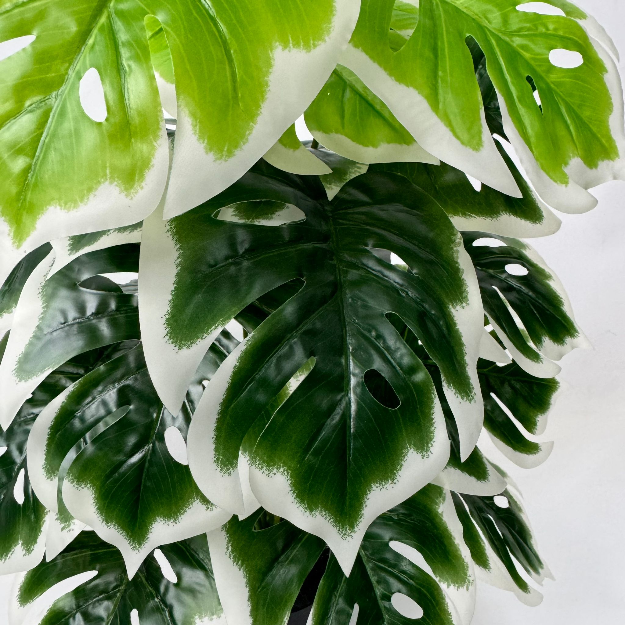 65cm Artificial Plant White Edge Monstera with black plastic cemented pot, home decor, garden, events Aplant1001b- 18 lvs