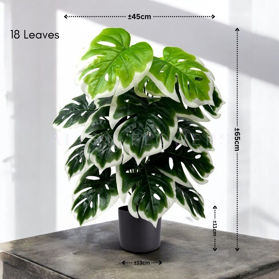 65cm Artificial Plant White Edge Monstera with black plastic cemented pot, home decor, garden, events Aplant1001b- 18 lvs