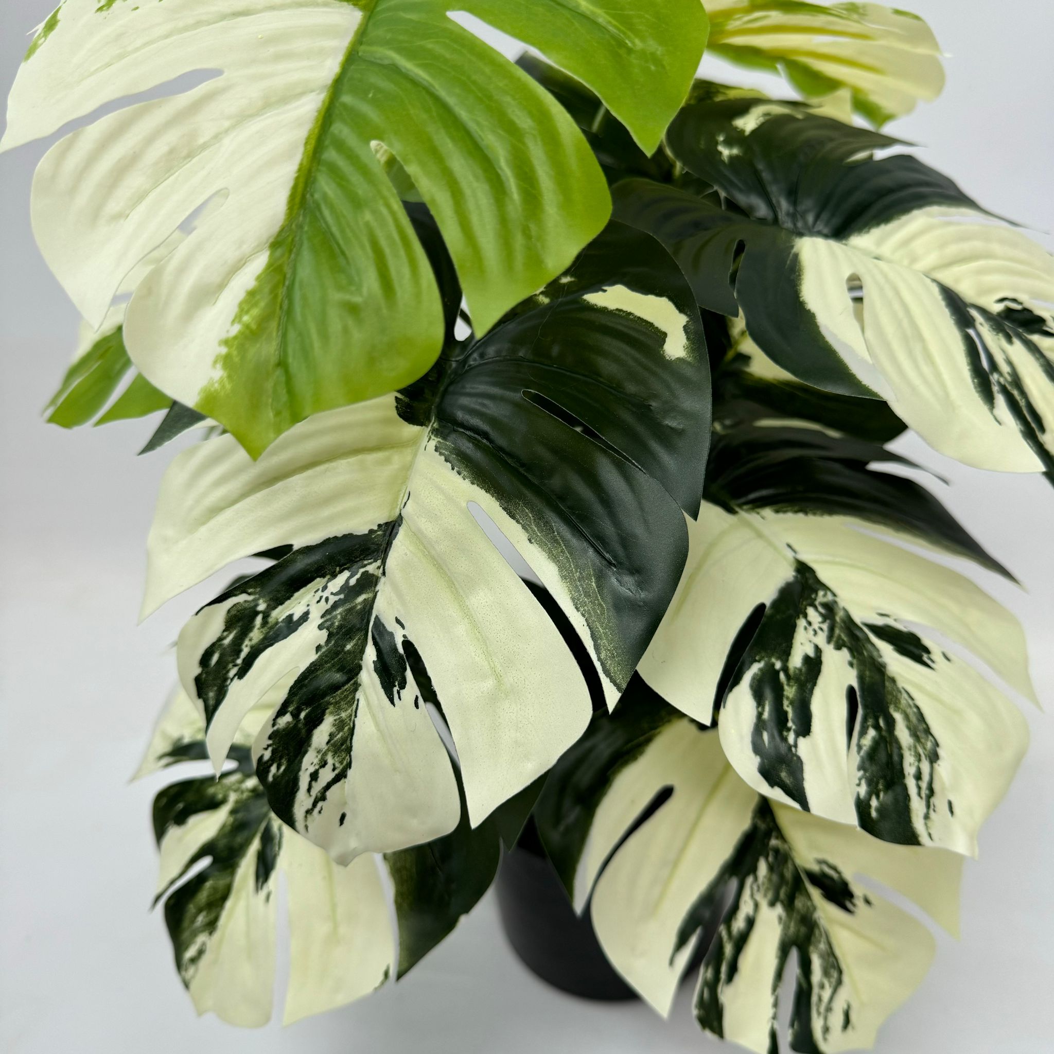 45cm (12 Leaves) Artificial Plant Variegated Monstera Albo with black plastic cemented pot, home decor, garden, events Aplant1002a