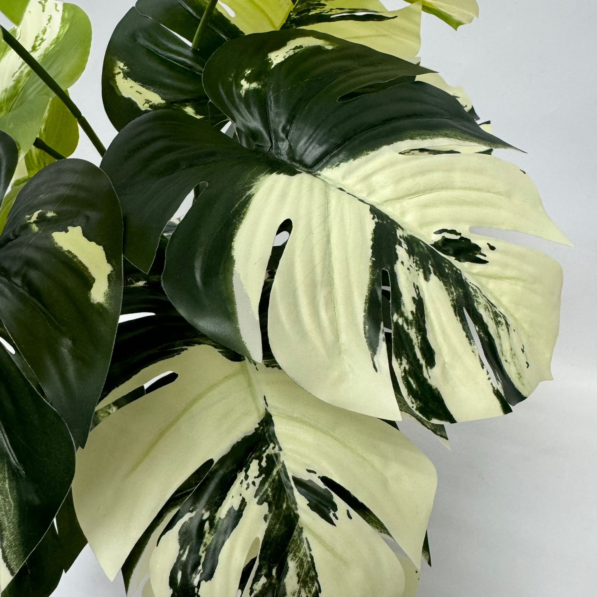 45cm (12 Leaves) Artificial Plant Variegated Monstera Albo with black plastic cemented pot, home decor, garden, events Aplant1002a