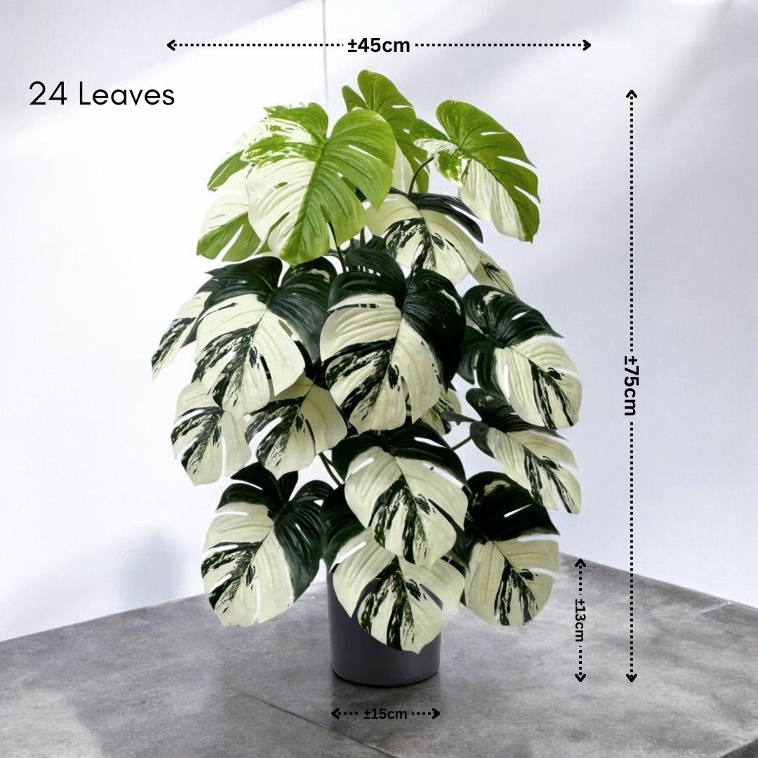 75cm (24 Leaves) Artificial Plant Variegated Monstera Albo with black plastic cemented pot, home decor, garden, events Aplant1002c