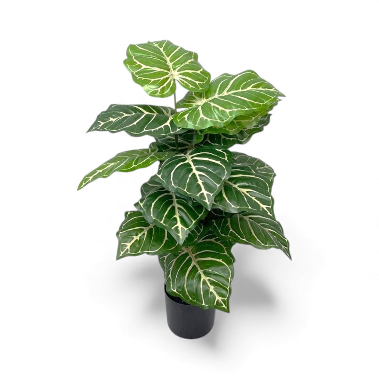 Artificial green Caladium, Alocasia, or "Zebra Plant" with prominent white central veins and a glossy finish, set in a simple black pot for indoor home or office decor.