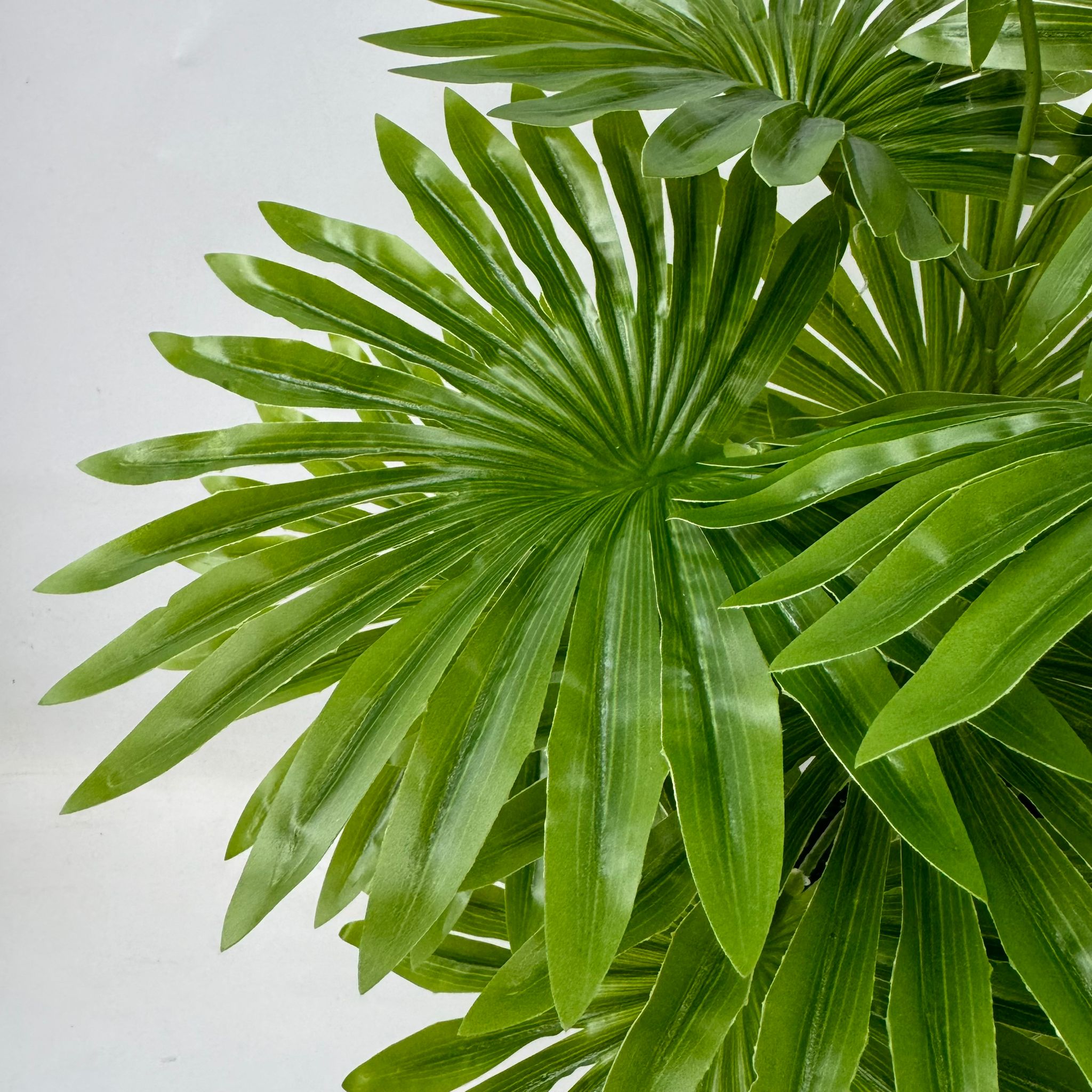 55cm Artificial Plant Livistona Fan Palm Plant with black plastic cemented pot, home decor, garden, events Aplant1008a- 12 lvs