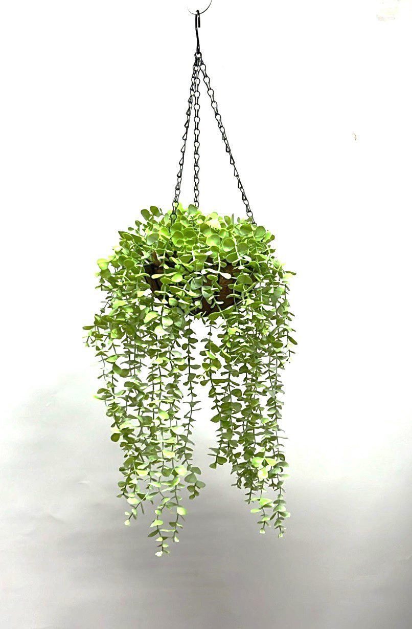 Artificial Succulent Plant in a coco husk fiber hanging pot, home decor, garden, events Aplant1009