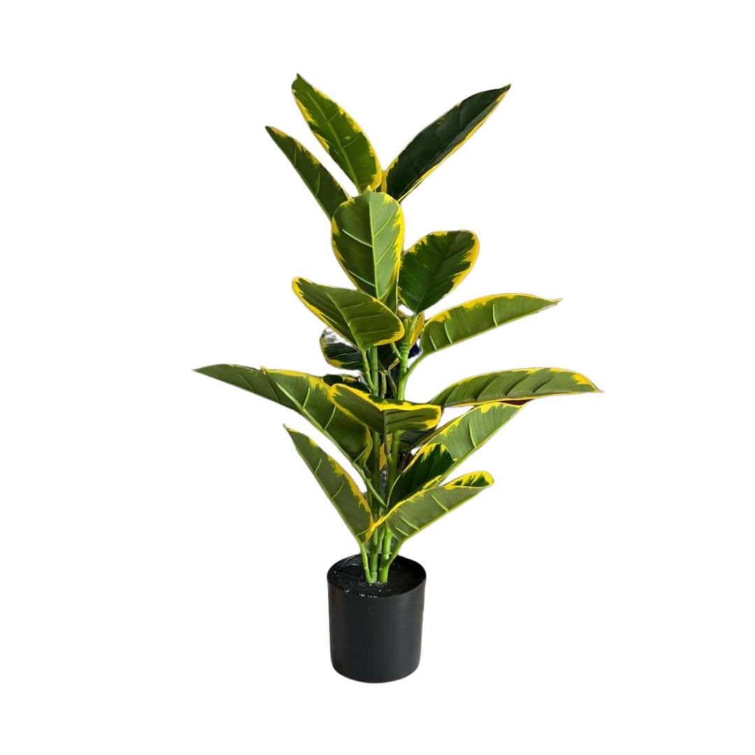 72cm Artificial Plant Golden Ficus Elastica, home decor balcony events Aplant1044