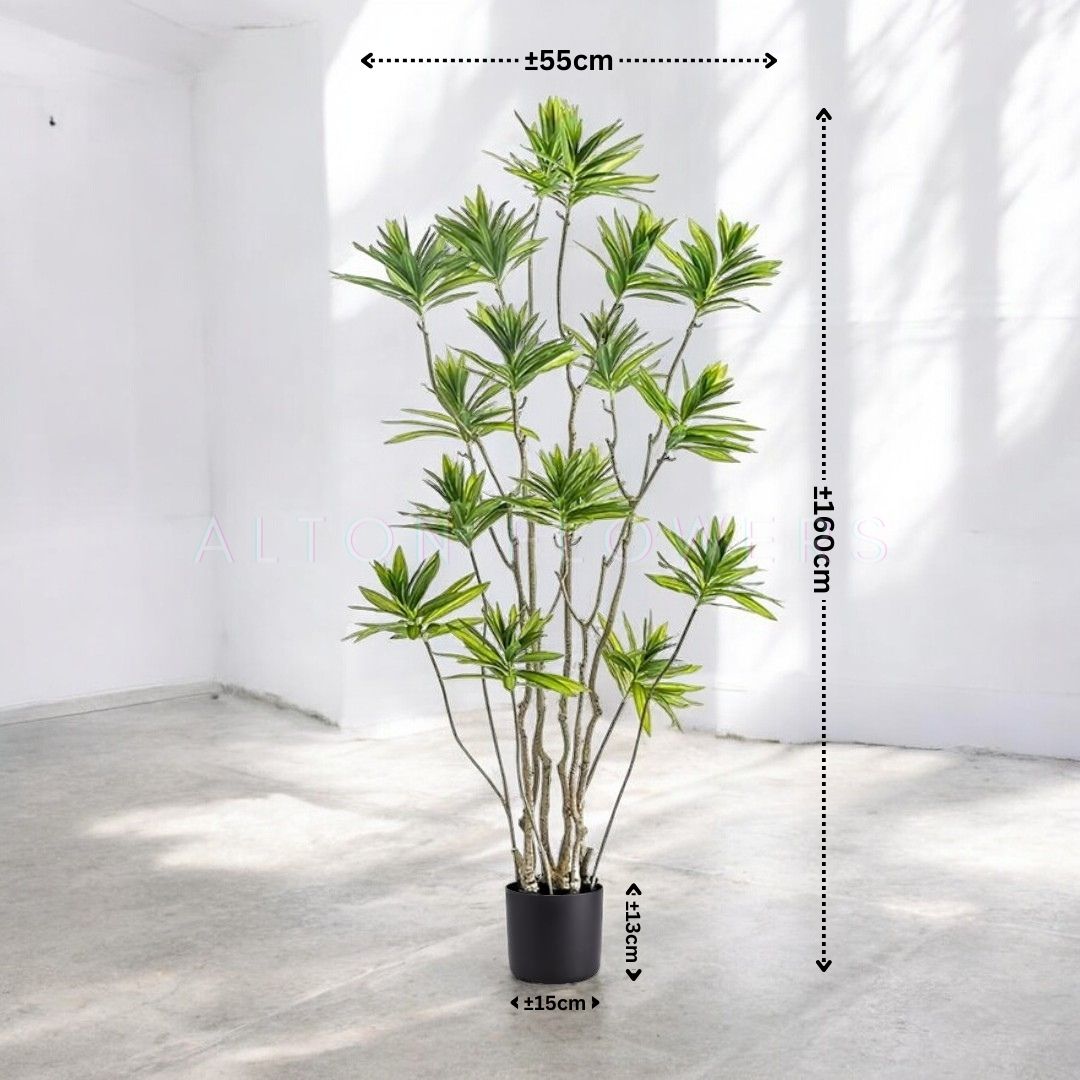 160cm Artificial Plant Dracena Fragrans, home decor, events, gardens Aplant1061-160cm