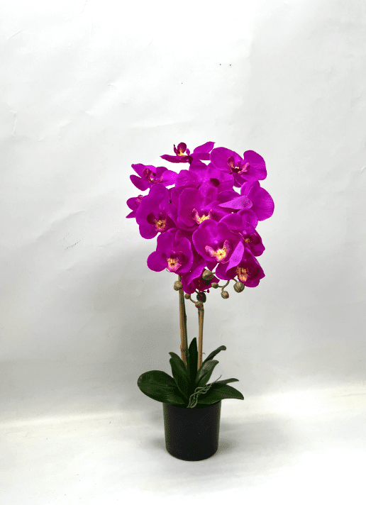 60cm Orchids Plant Artificial Rubber, Flower, events, gardens, home decor Aplant1072