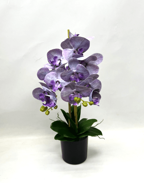 60cm Orchids Plant Artificial Rubber, Flower, events, gardens, home decor Aplant1072