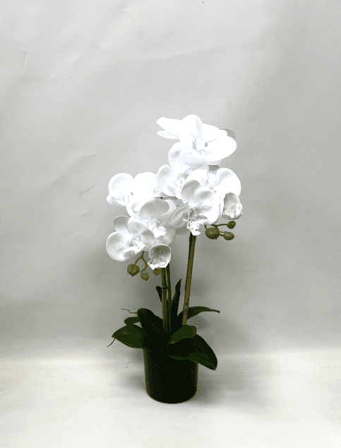 60cm Orchids Plant Artificial Rubber, Flower, events, gardens, home decor Aplant1072