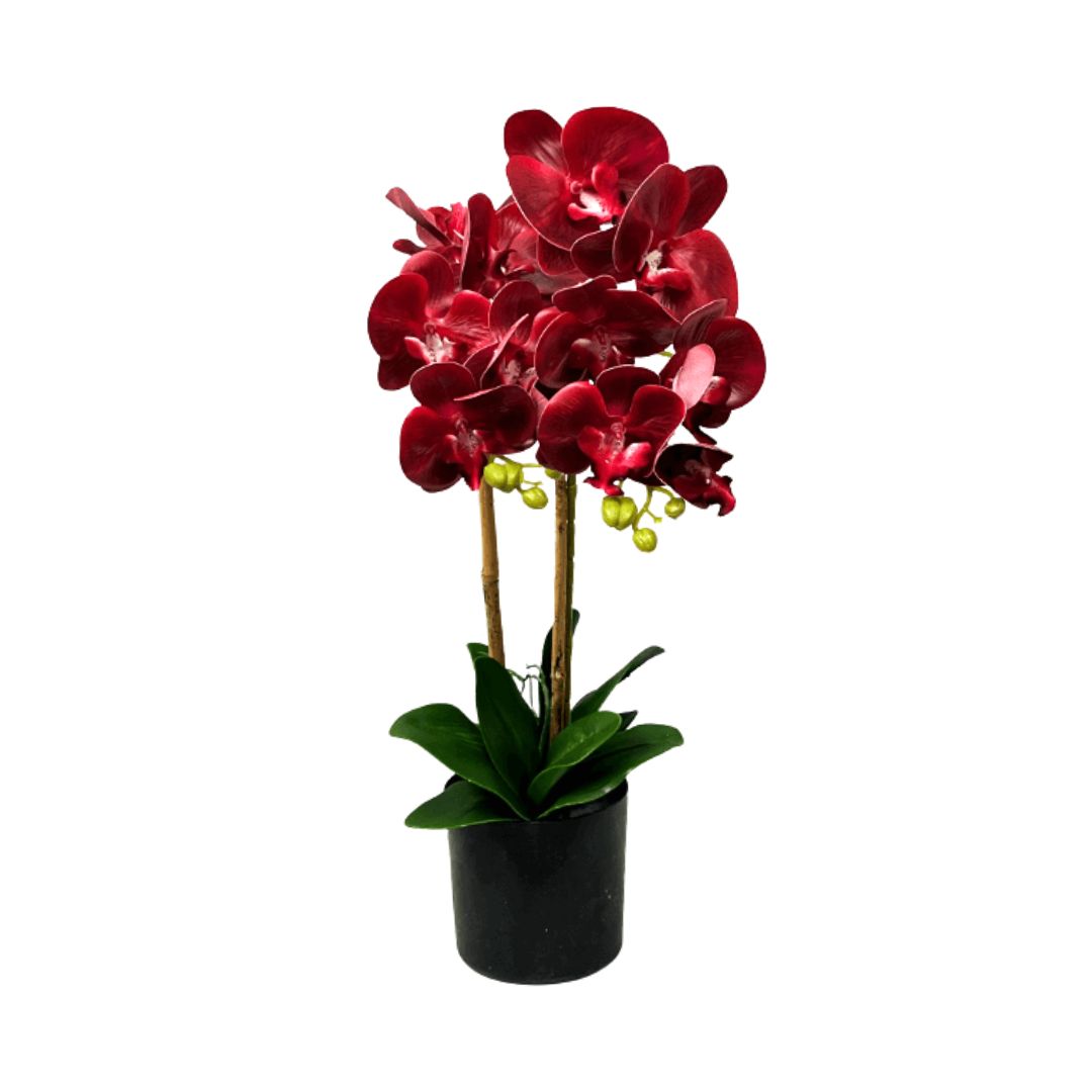60cm Orchids Plant Artificial Rubber, Flower, events, gardens, home decor Aplant1072