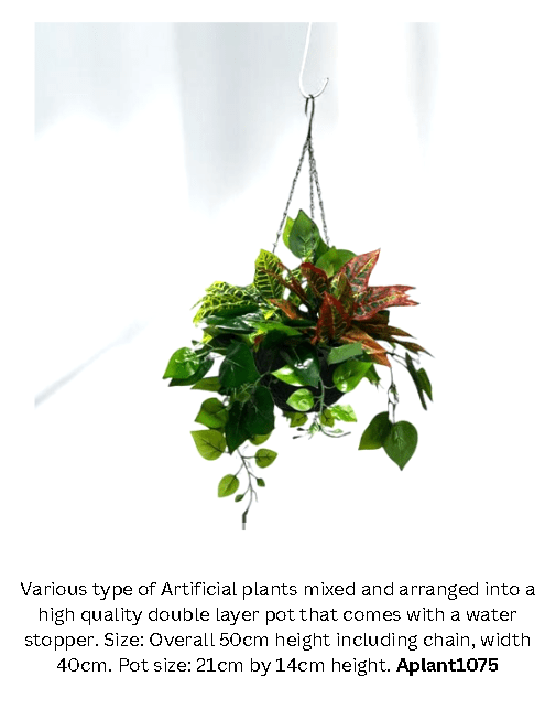Plants Hanging mixed various types, home decor, garden, flowers, Aplant1075