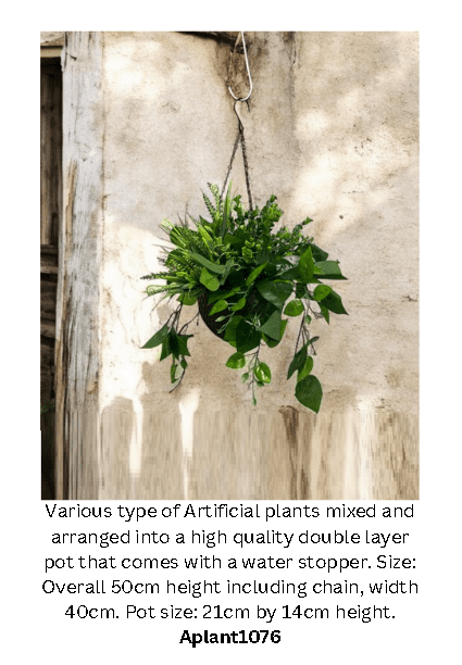 Plants Hanging mixed various types, home decor, garden, flowers, Aplant1076