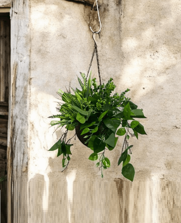 Plants Hanging mixed various types, home decor, garden, flowers, Aplant1076