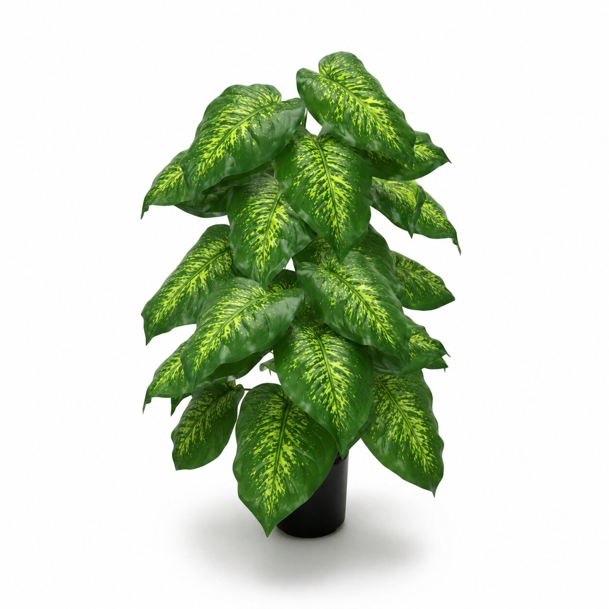 75cm artificial lime dieffenbachia seguine plant featuring 24 broad leaves with speckled chartreuse camouflage patterns in a black pot by Alton Flowers Singapore