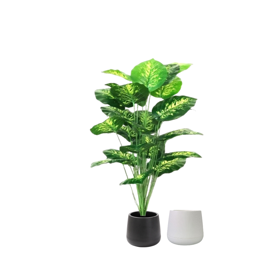 75cm Plant Artificial Diffenbachia plant, shrubs, foilages, Plant 24 leaves Aplant1104-3