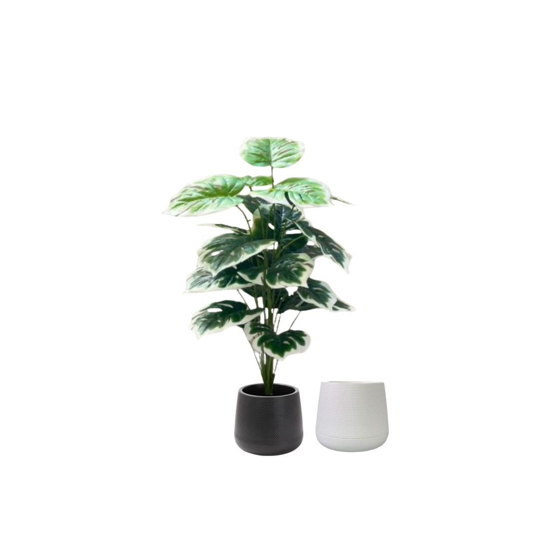 75cm Plant Artificial Monstera Plant White Edge, Money Plant, shrubs, foilages, Plant 24 leaves Aplant1109-3