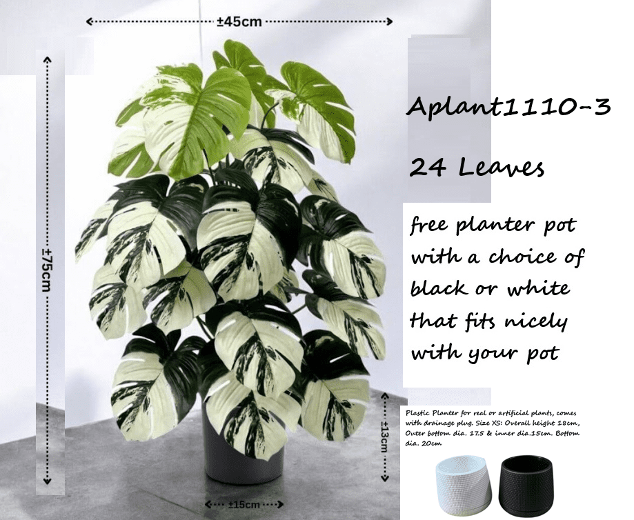 75cm Plant Artificial Variegated Monstera Albino Plant, Money Plant, shrubs, foilages, Plant 24 leaves Aplant1110-3