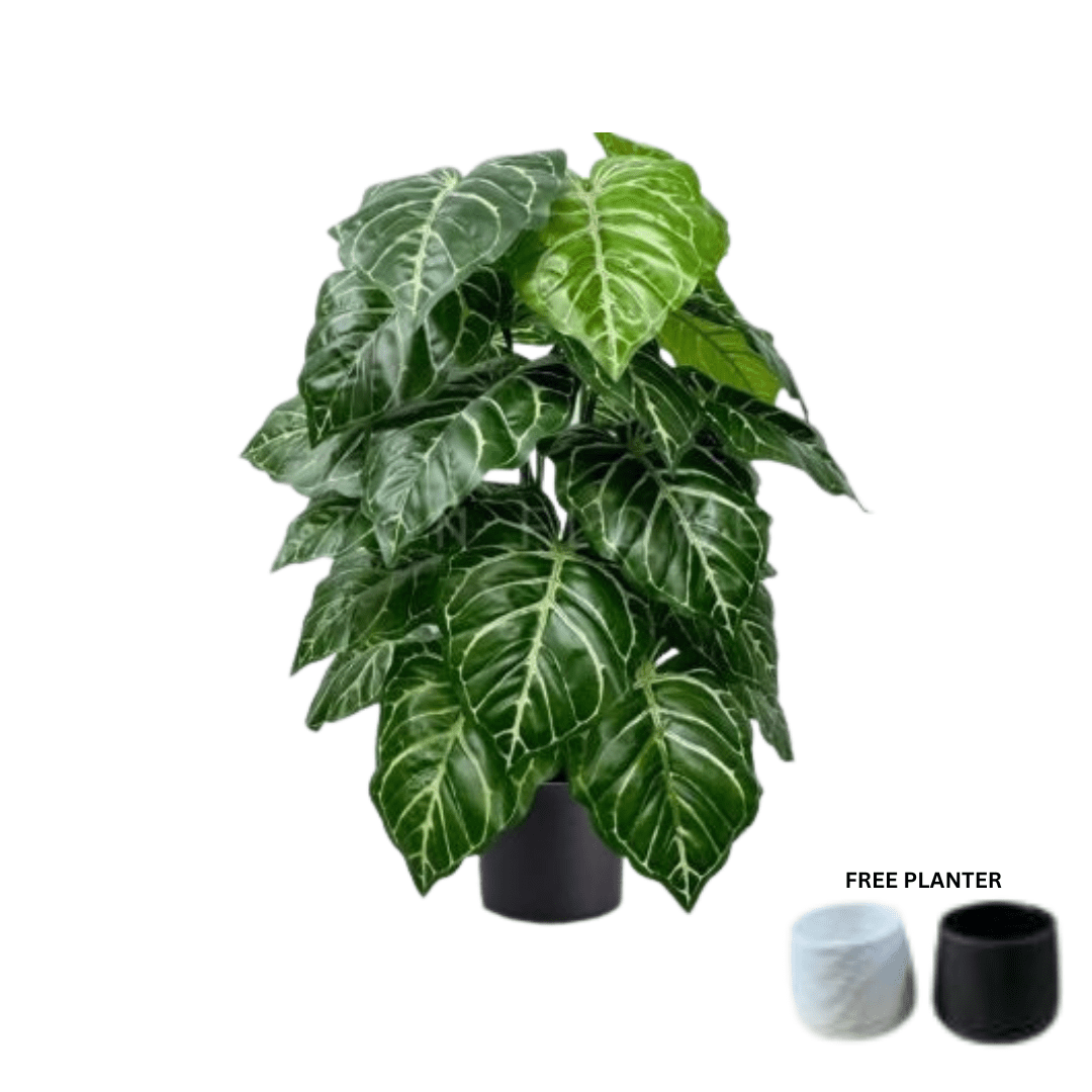 75cm Plant Artificial Crystalline Anthurium, Money Plant, shrubs, foilages, Plant 24 leaves Aplant1112-3