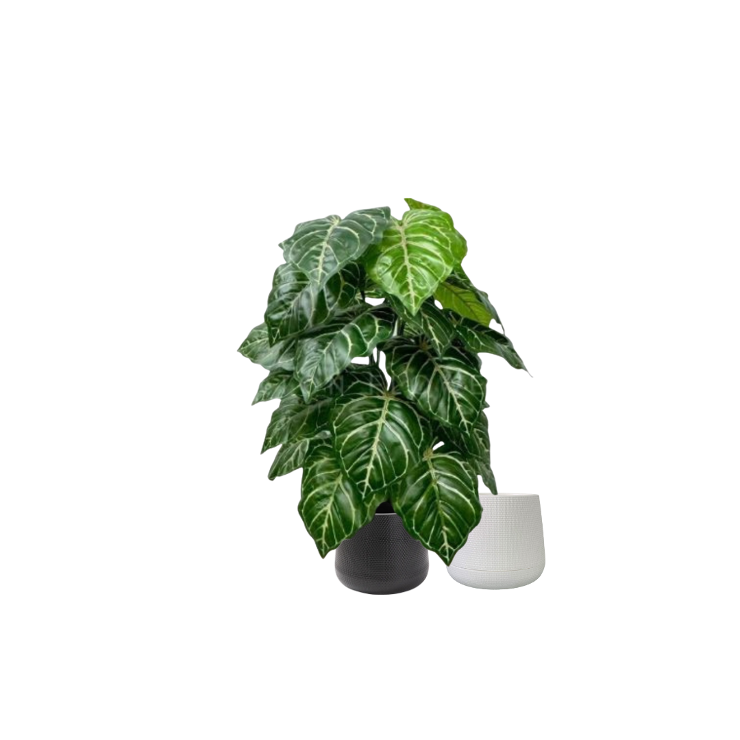 75cm Plant Artificial Crystalline Anthurium, Money Plant, shrubs, foilages, Plant 24 leaves Aplant1112-3