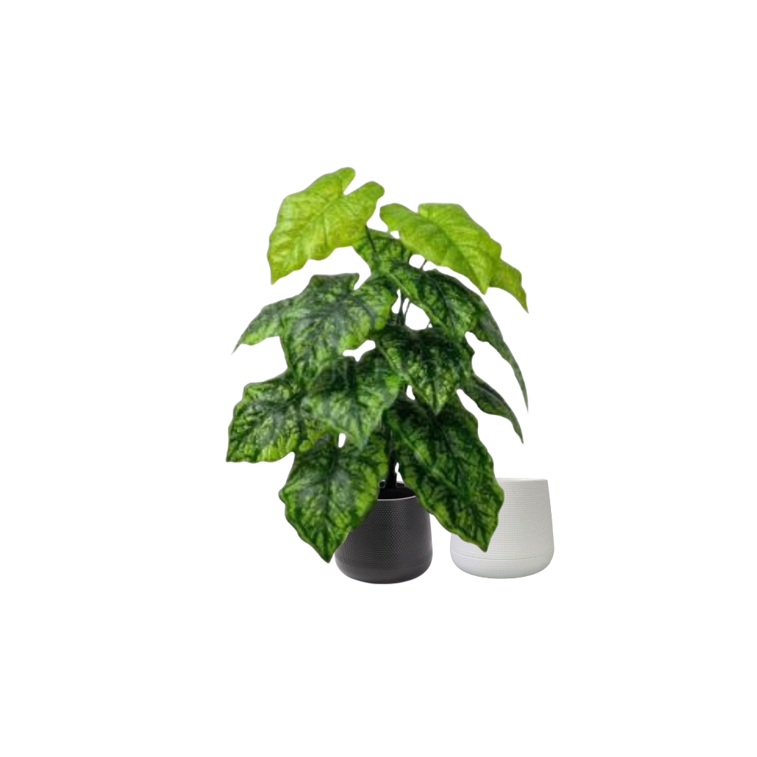 65cm Artificial Green Caladium Plant, shrubs, foilages, Plant 18 leaves Aplant1113-2