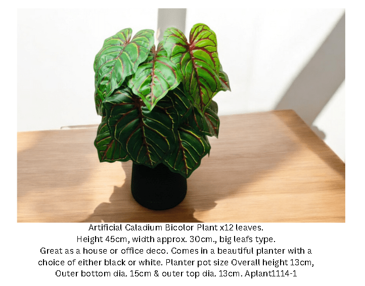 45cm Artificial Caladium Bicolor Plant, Money Plant, shrubs, foilages, Plant 12 leaves Aplant1114-1