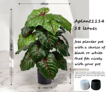65cm Artificial Caladium Bicolor Plant, Money Plant, shrubs, foilages, Plant 18 leaves Aplant1114-2