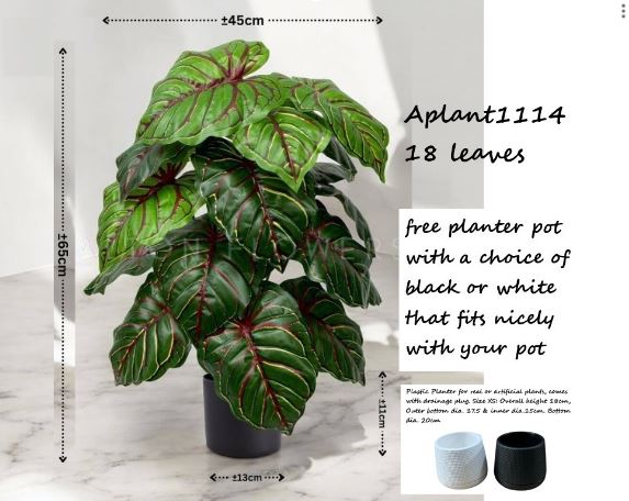 75cm Artificial Caladium Bicolor Plant, Money Plant, shrubs, foilages, Plant 24 leaves Aplant1114-3