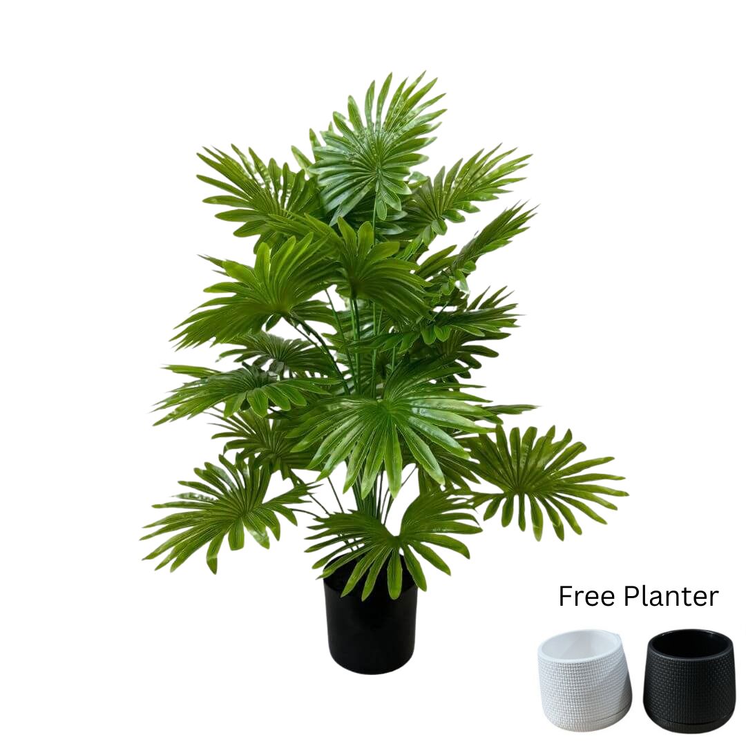 75cm Artificial Plant Livistona Fan Palm Plant, Money Plant, shrubs, foilages, Plant 24 leaves Aplant1115-3