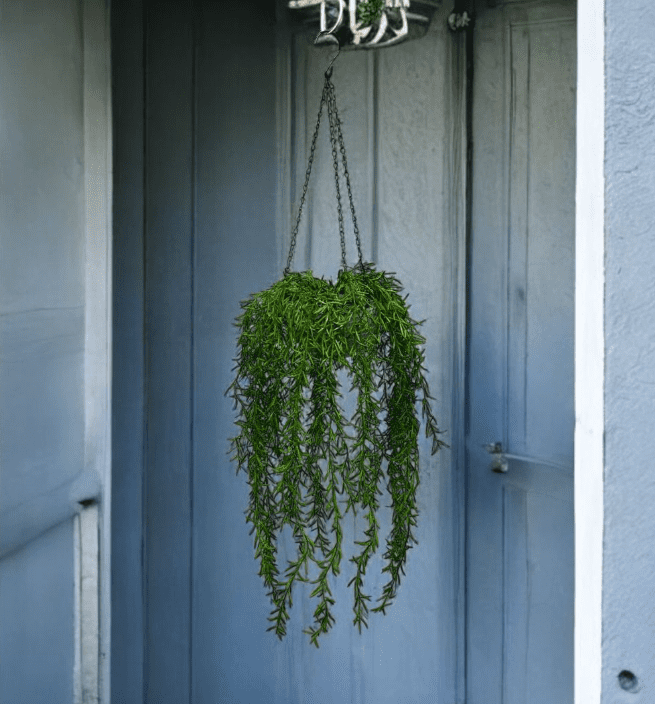 Artificial Plant Hanging Shrub, Bush Foliage in Plastic Pot, garden, balcony plant, Ceiling Plant, Events. Aplant1117