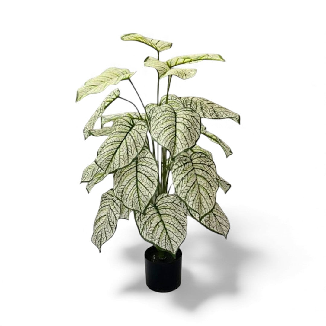 Artificial white Caladium or "Elephant Ear" plant with prominent dark green veins and stems, set in a black round pot for indoor or outdoor decor.