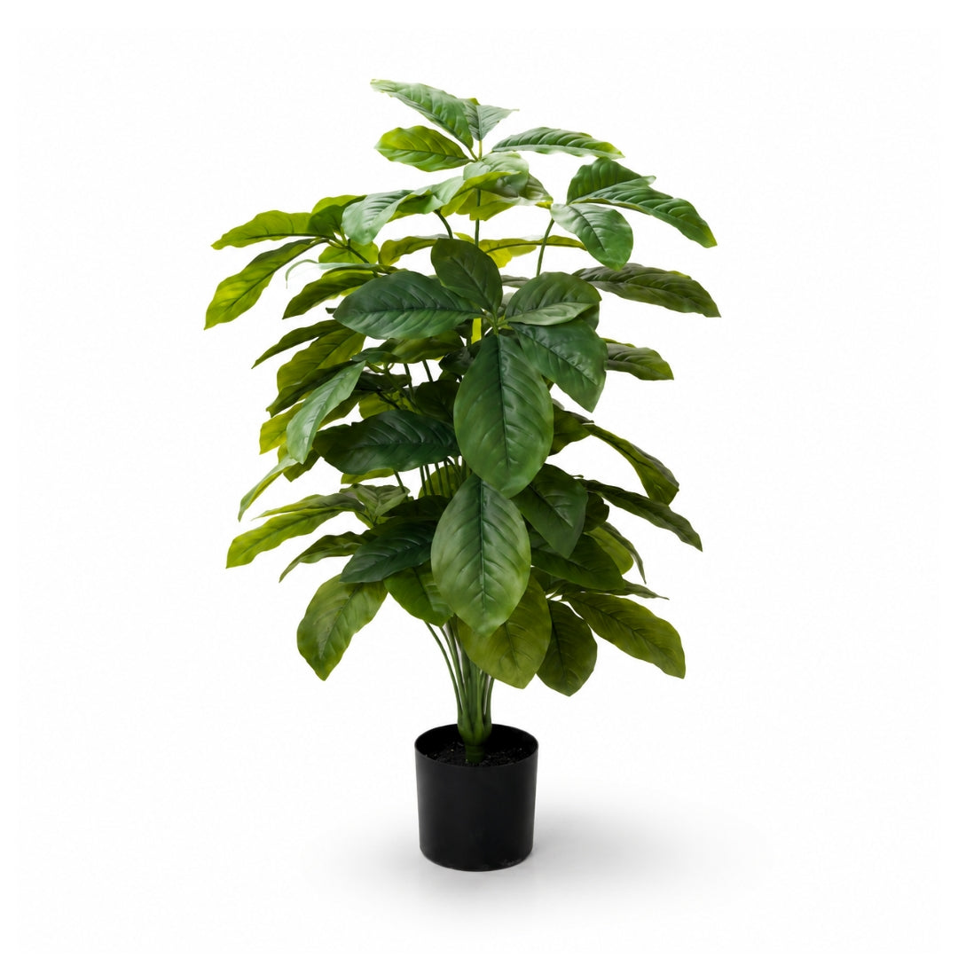90cm artificial coffee arabica tree featuring a full canopy of glossy broad dark green leaves in a black pot by Alton Flowers Singapore