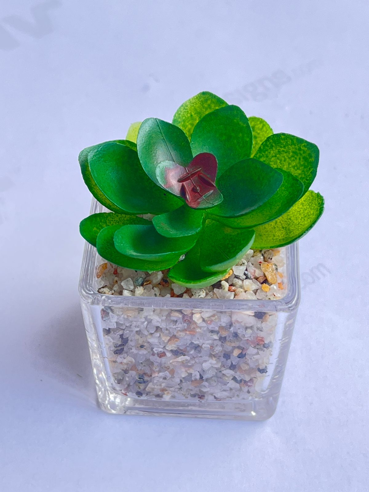 8cm Potted Plant Artificial, Succulent, flowers. home decor, garden, events, Aplant1137