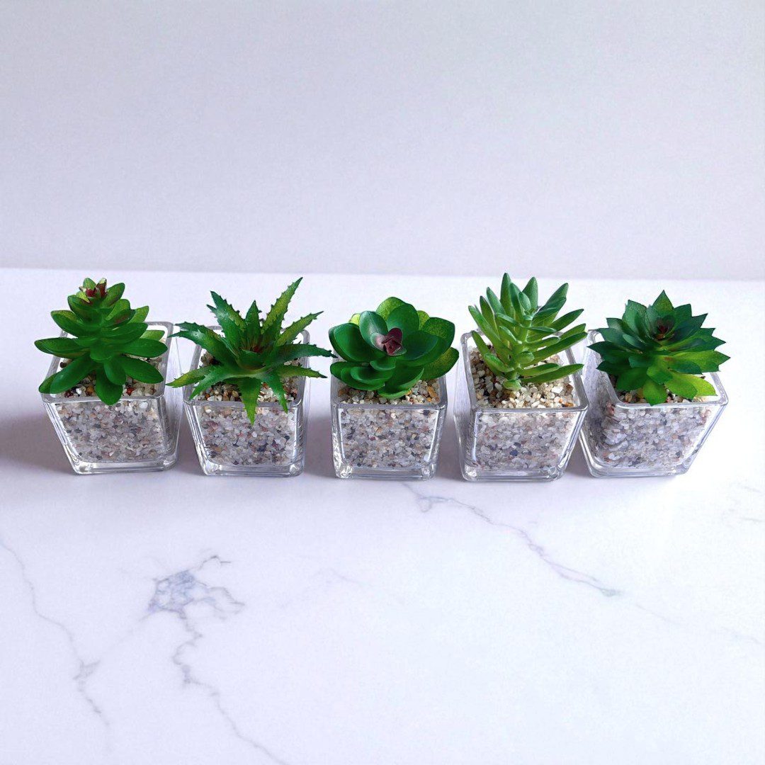 8cm Potted Plant Artificial, Succulent, flowers. home decor, garden, events, Aplant1137