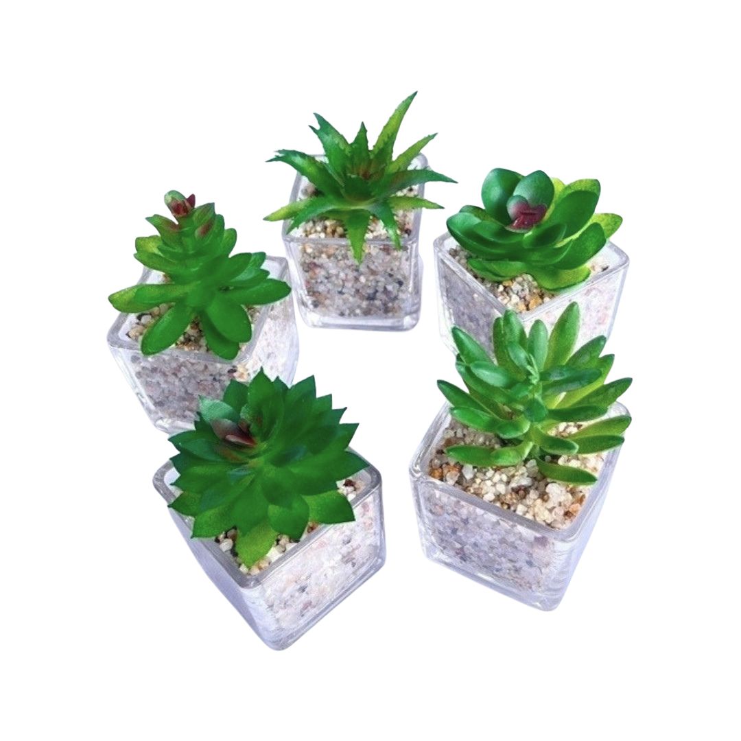 8cm Potted Plant Artificial, Succulent, flowers. home decor, garden, events, Aplant1137