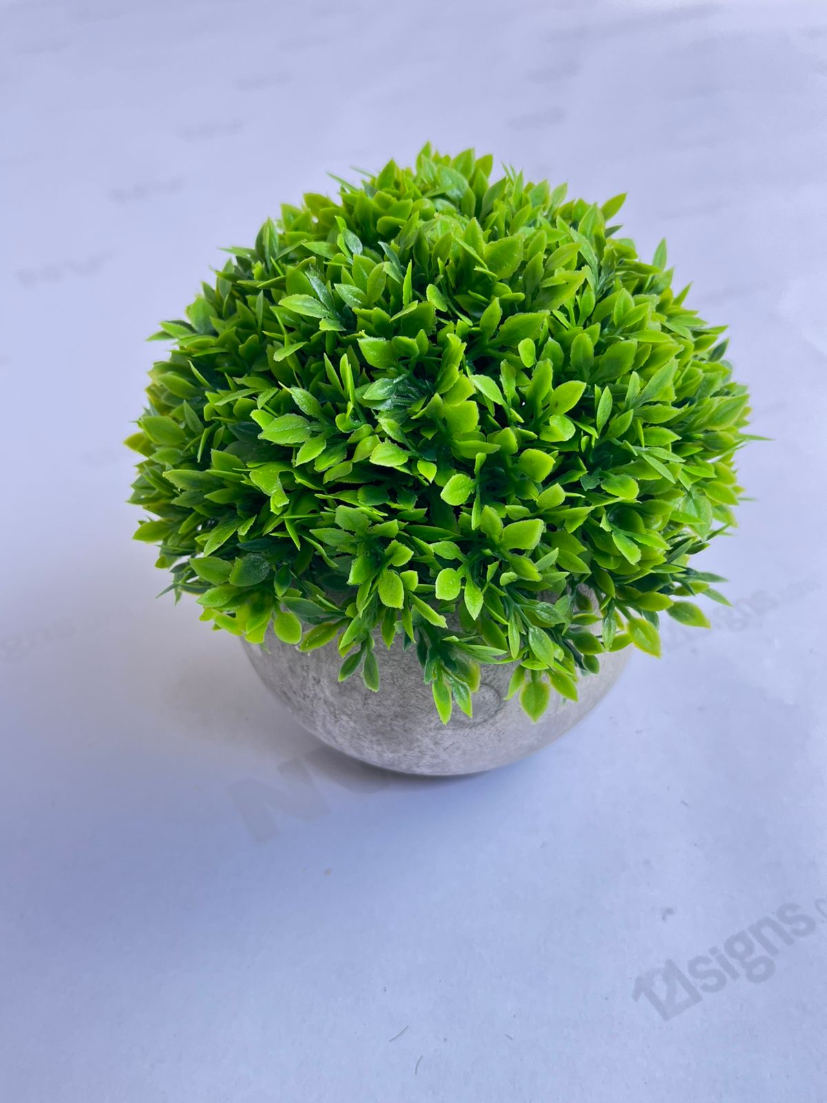 10cm Potted Plant Artificial, Succulent, flowers. home decor, garden, events, Aplant1138