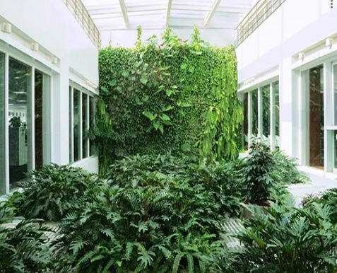 Wall Grass Installation for Residential/ Office Wall Grass Installation- FOR SELF COLLECTION ONLY- Aplant1144-5