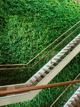 Wall Grass Installation for Residential/ Office Wall Grass Installation- FOR SELF COLLECTION ONLY- Aplant1144-6