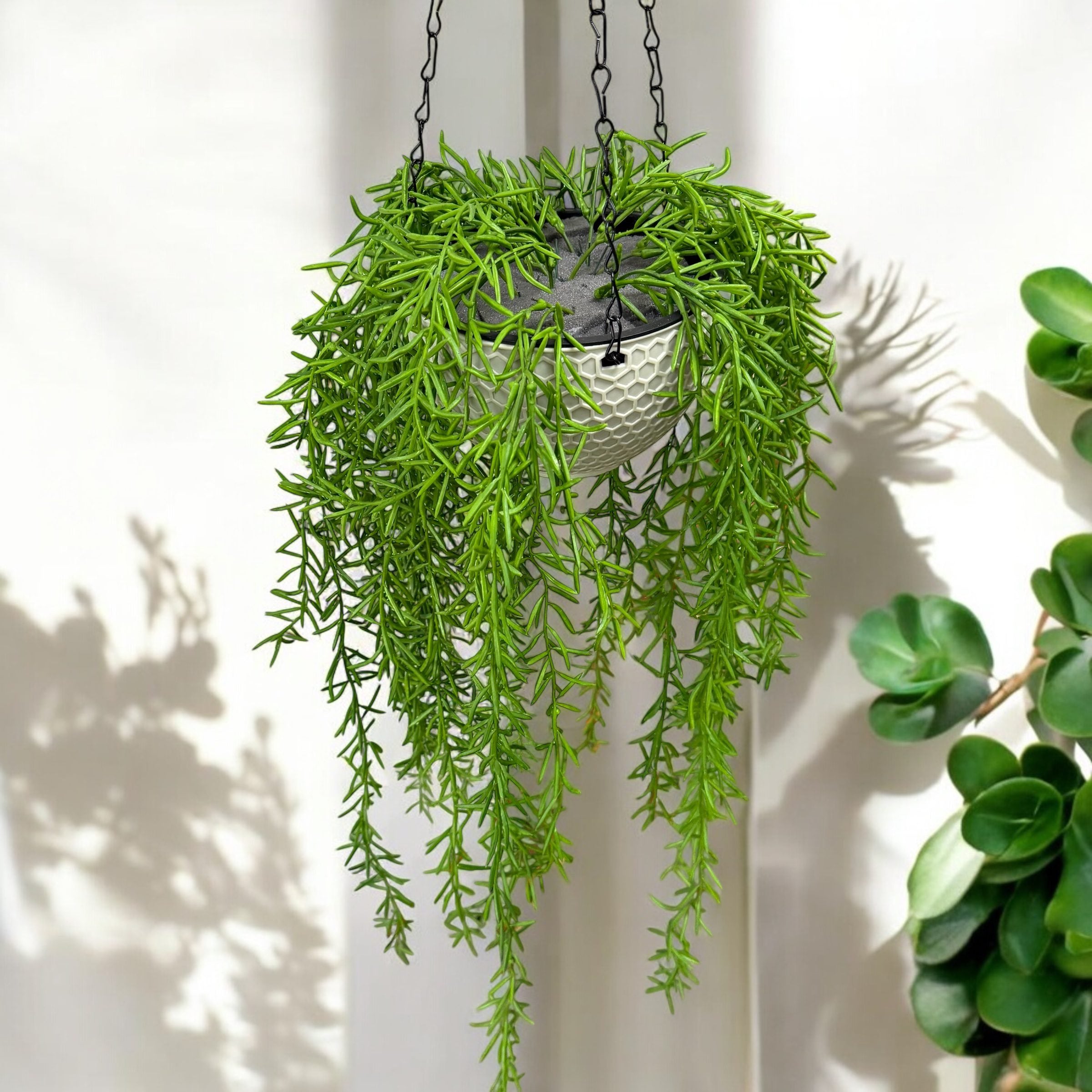 Hanging artificial plant with chain Aplant1146