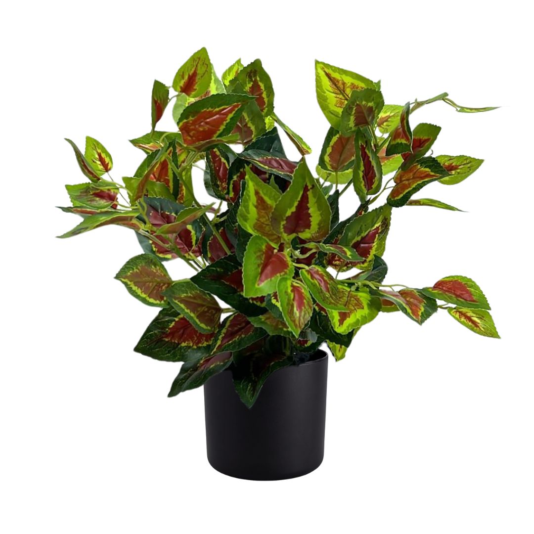 40cm Artificial Coleus Plant