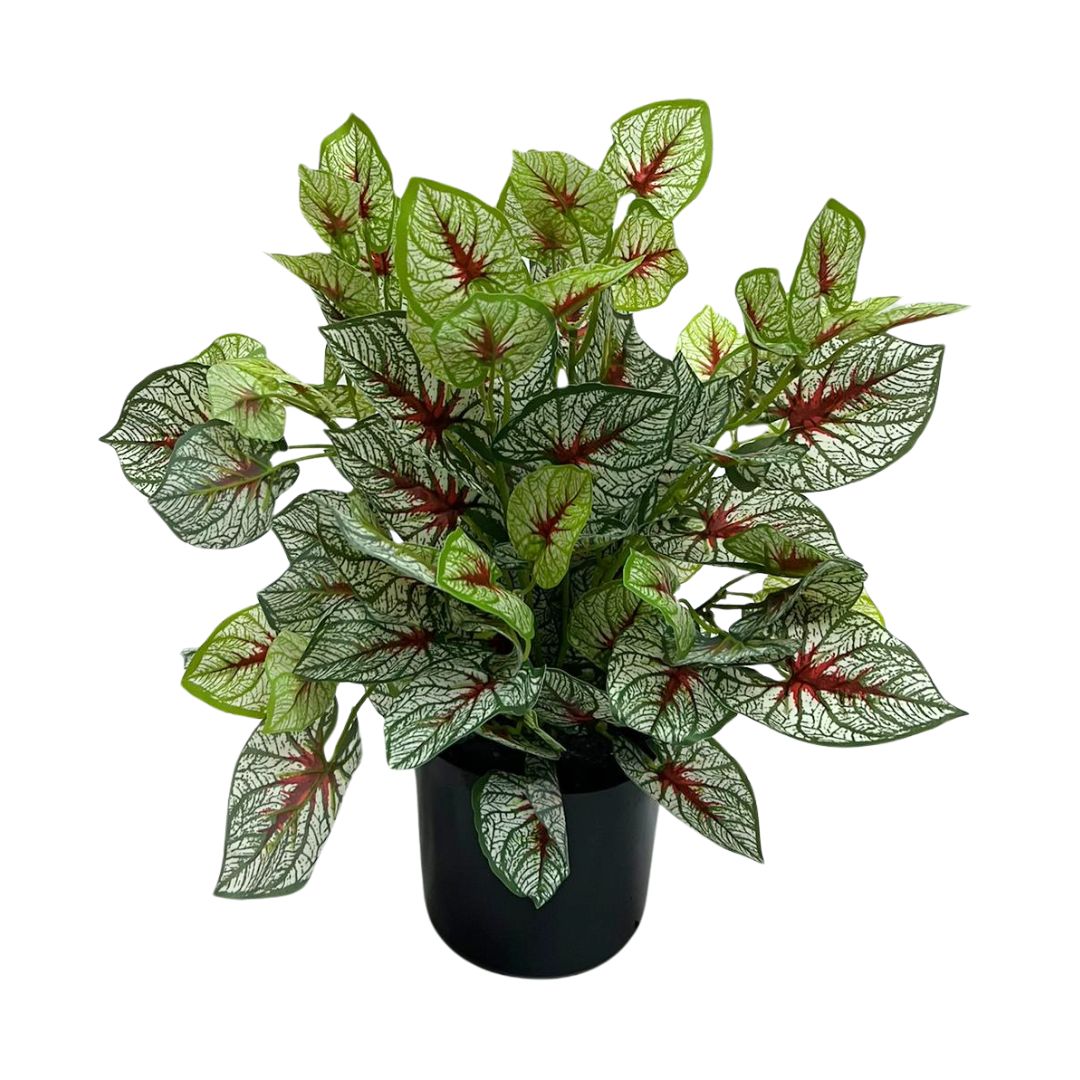 Artificial Caladium Plant