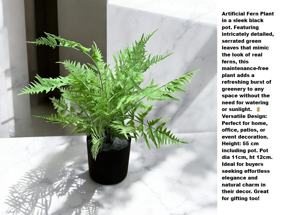 Artificial fern plant in a plastic pot, 55cm tall, ideal for home and office decor, balcony, or corridor.