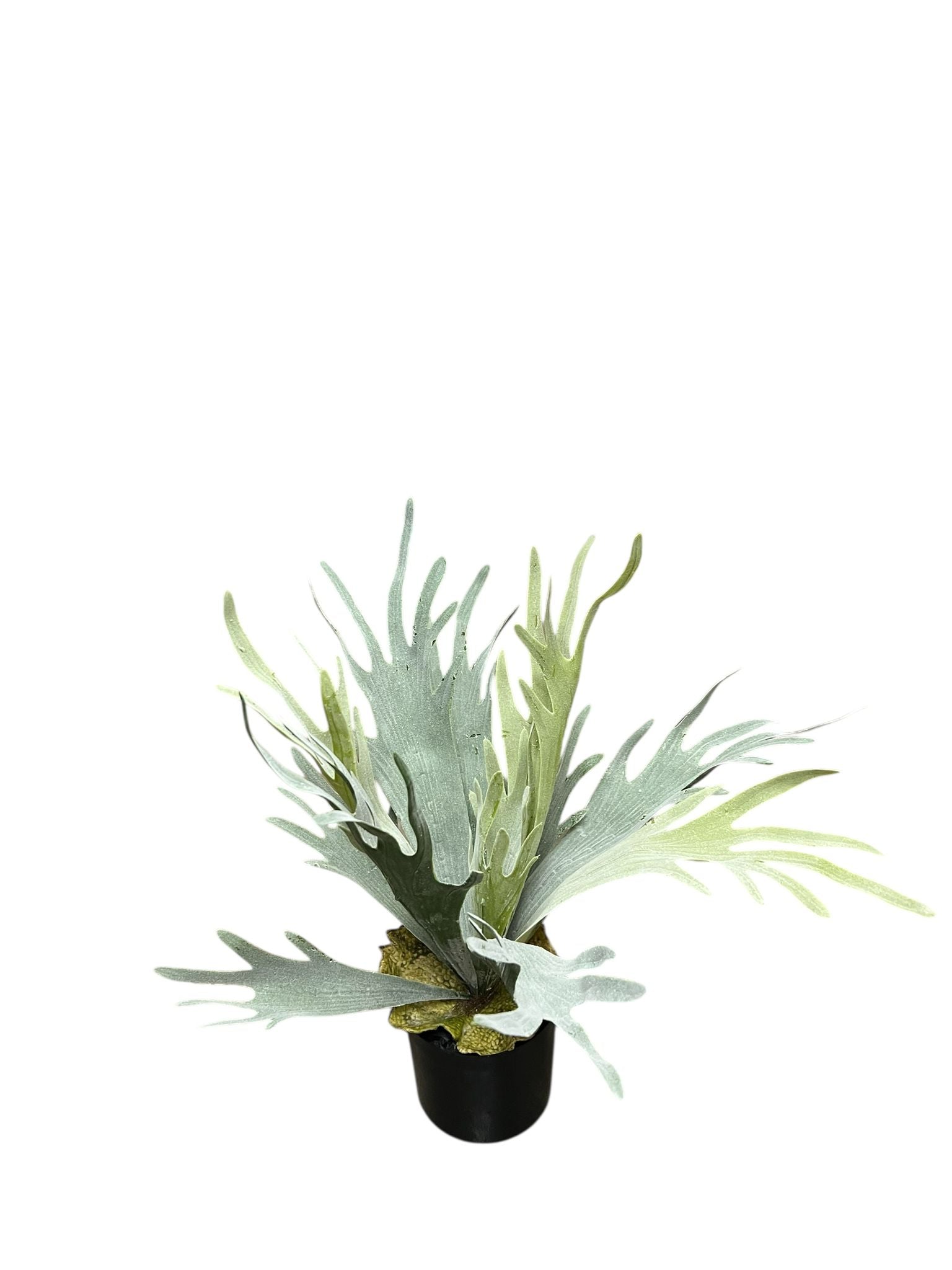 40cm Artificial Plant, foilages, Staghorn, home decor, garden, Aplant1159