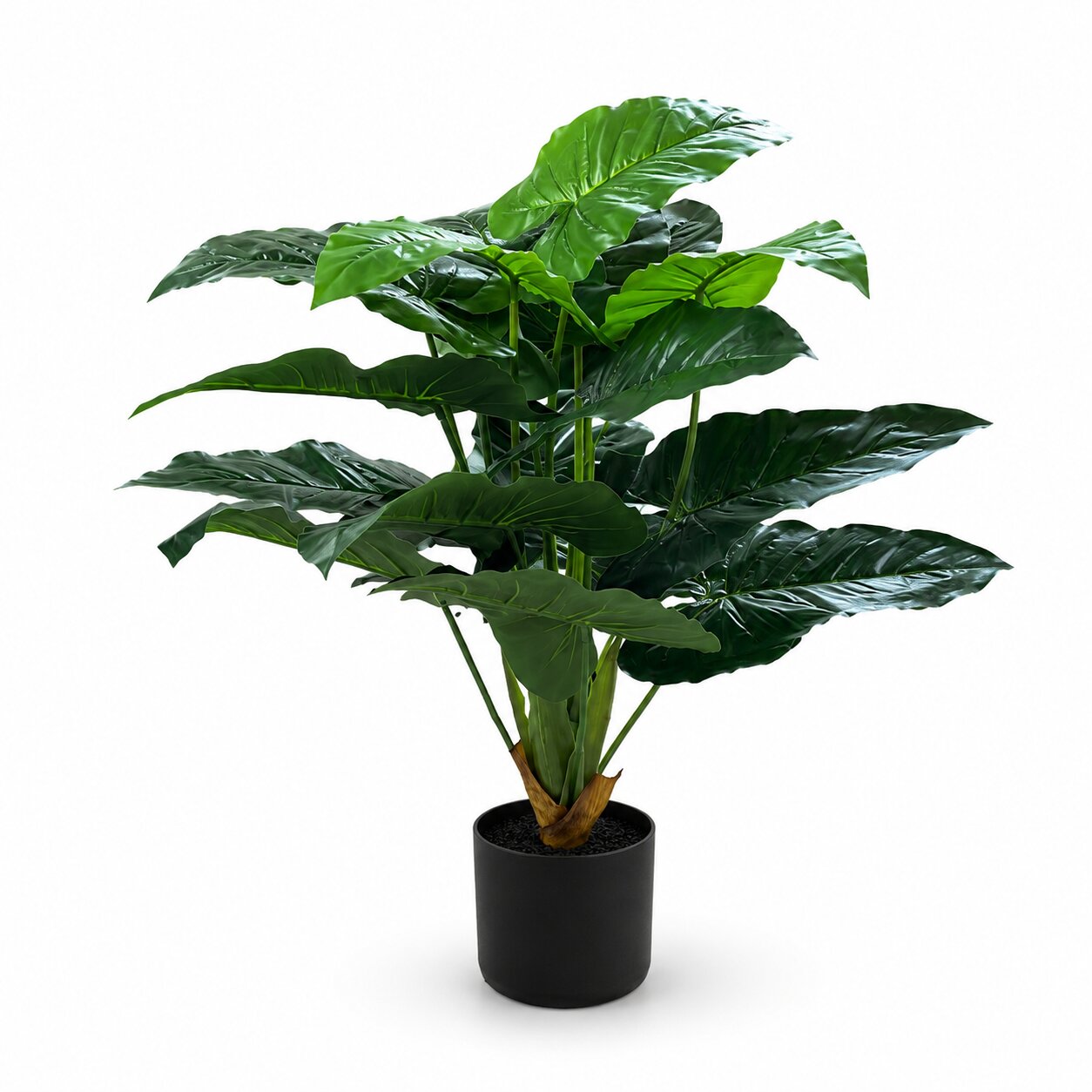 80cm artificial bird's nest anthurium tree featuring glossy wave-textured emerald green leaves in a black pot with white gravel by Alton Flowers Singapore