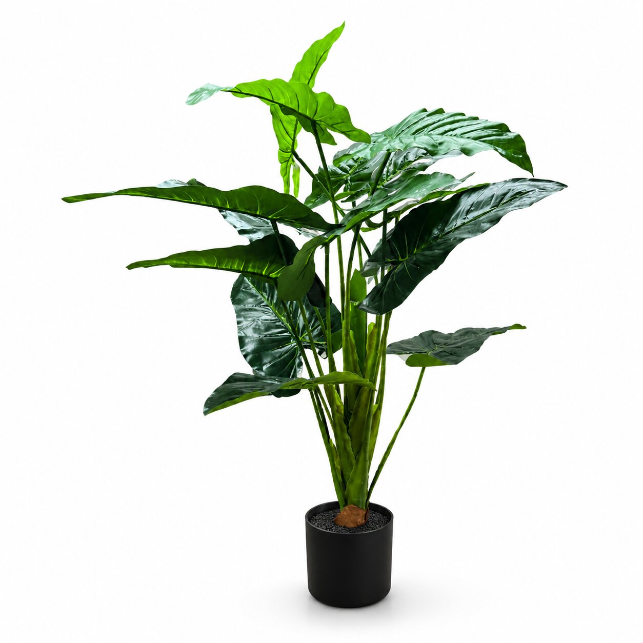 80cm artificial giant taro alocasia macrorrhizos tree featuring large glossy upright elephant ear leaves in a black pot by Alton Flowers Singapore