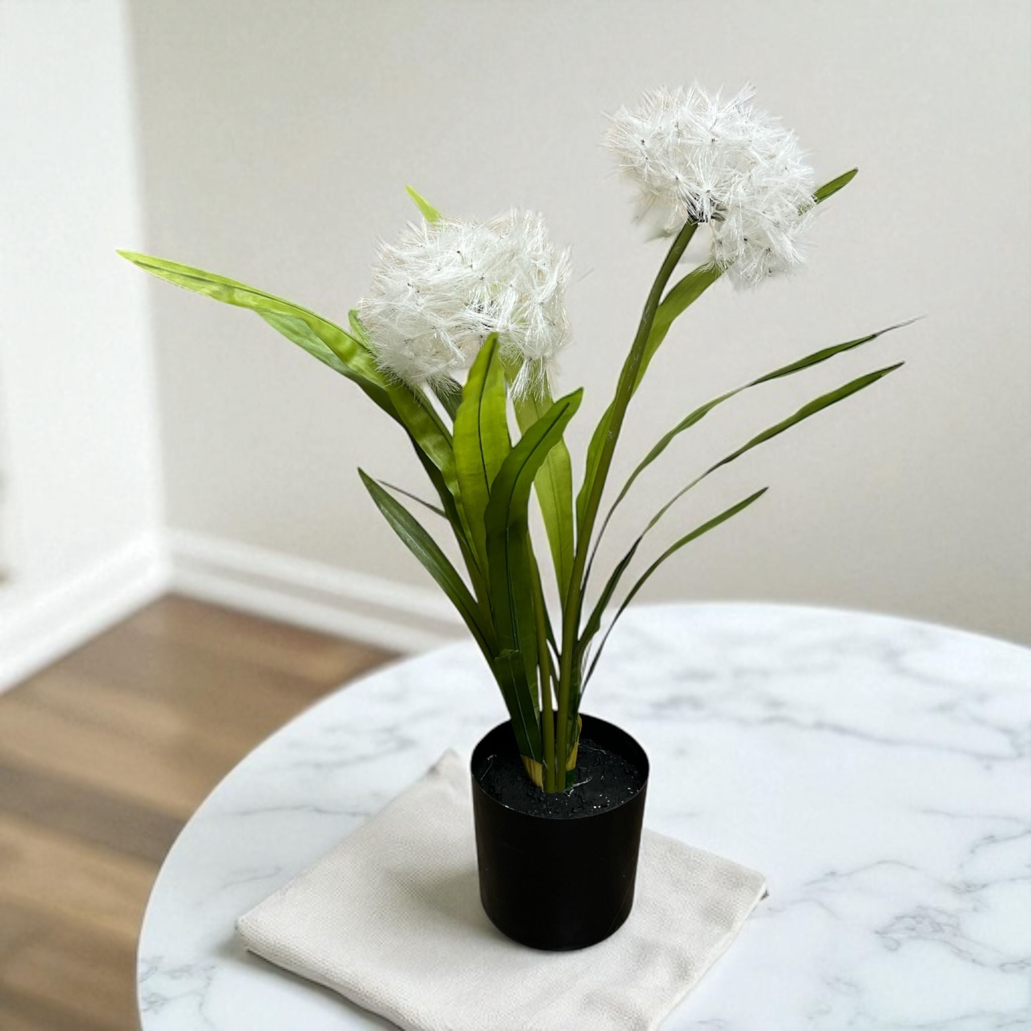 Aplant1199